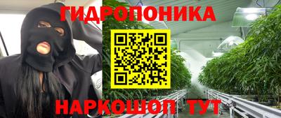 стафф Азнакаево